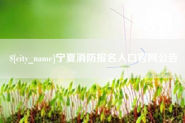 磁县宁夏消防报名入口官网公告