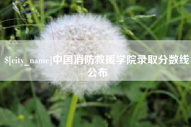 磁县中国消防救援学院录取分数线公布
