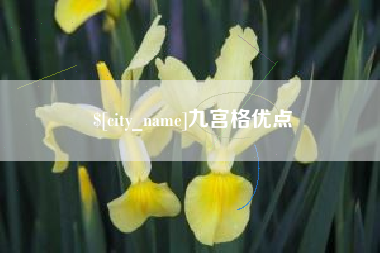 磁县九宫格优点