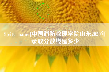 磁县中国消防救援学院山东2020年录取分数线是多少