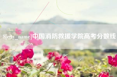 磁县中国消防救援学院高考分数线