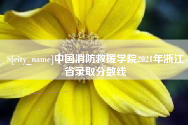 磁县中国消防救援学院2021年浙江省录取分数线