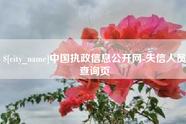 磁县中国执政信息公开网-失信人员查询页