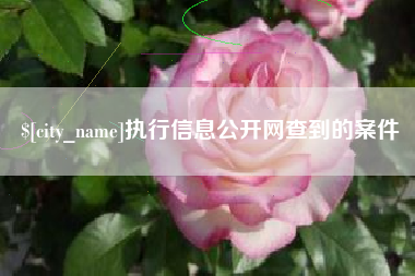 磁县执行信息公开网查到的案件