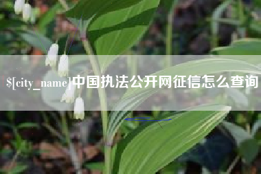 磁县中国执法公开网征信怎么查询