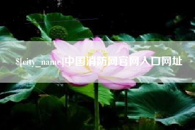 磁县中国消防网官网入口网址
