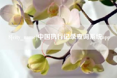 磁县中国执行记录查询系统app