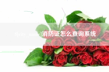 磁县消防证怎么查询系统