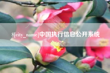磁县中国执行信息公开系统