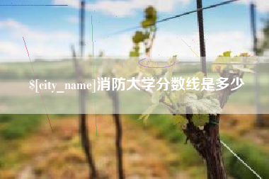 磁县消防大学分数线是多少