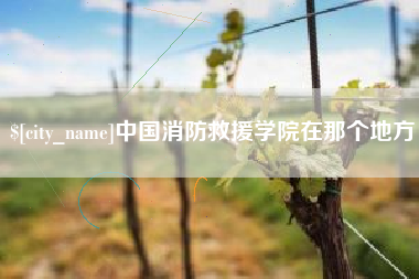 磁县中国消防救援学院在那个地方