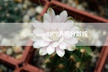 磁县2021消防分数线