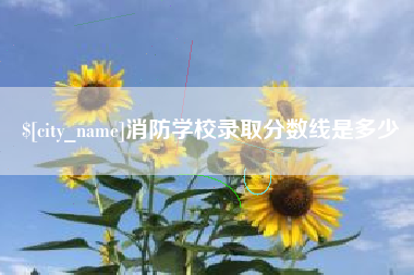 磁县消防学校录取分数线是多少