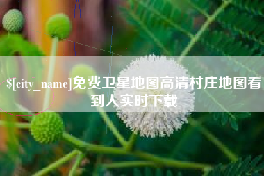 磁县免费卫星地图高清村庄地图看到人实时下载
