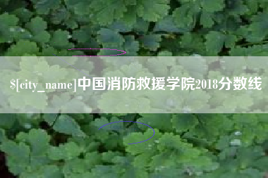 磁县中国消防救援学院2018分数线