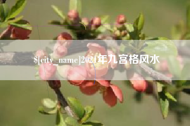 磁县2021年九宫格风水