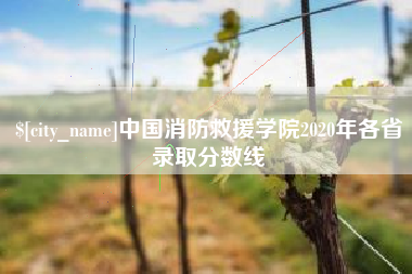 磁县中国消防救援学院2020年各省录取分数线