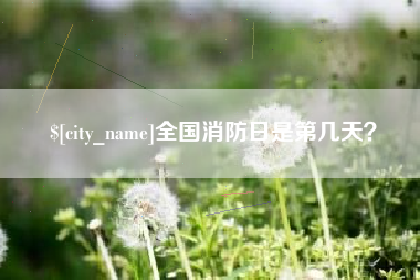 磁县全国消防日是第几天？