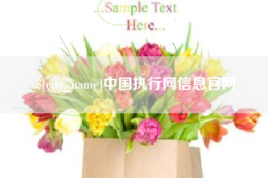 磁县中国执行网信息官网