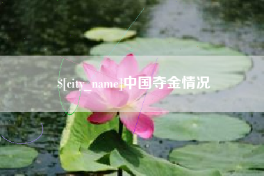 磁县中国夺金情况