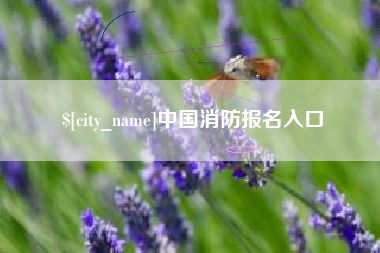 磁县中国消防报名入口