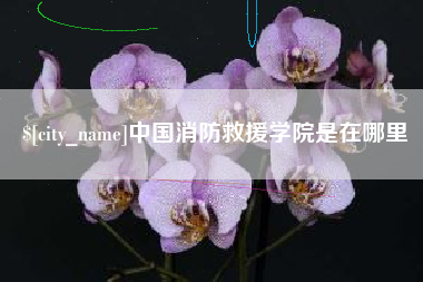 磁县中国消防救援学院是在哪里