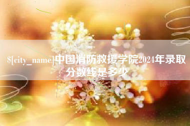 磁县中国消防救援学院2024年录取分数线是多少