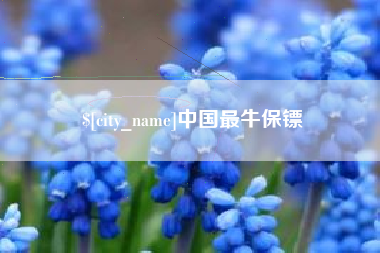 磁县中国最牛保镖