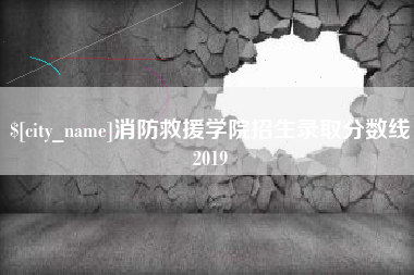 磁县消防救援学院招生录取分数线2019