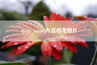 磁县九宫格龙图片