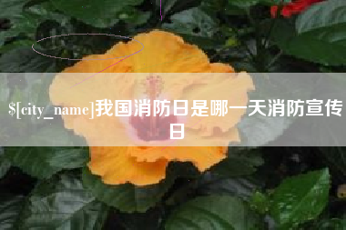 磁县我国消防日是哪一天消防宣传日