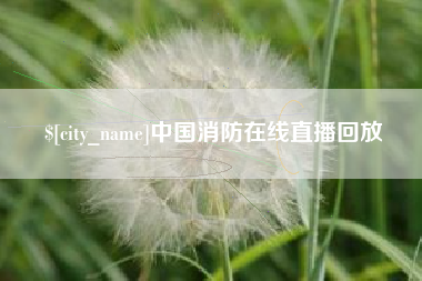 磁县中国消防在线直播回放