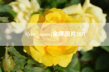 磁县金牌图片2021