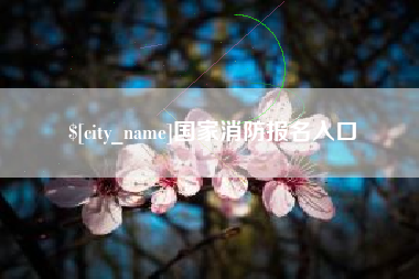 磁县国家消防报名入口