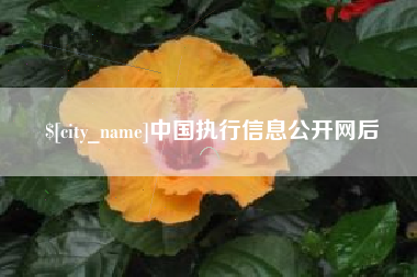 磁县中国执行信息公开网后