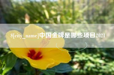 磁县中国金牌是哪些项目2021