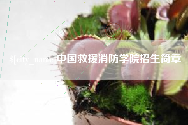 磁县中国救援消防学院招生简章