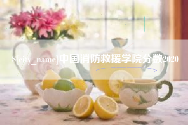 磁县中国消防救援学院分数2020