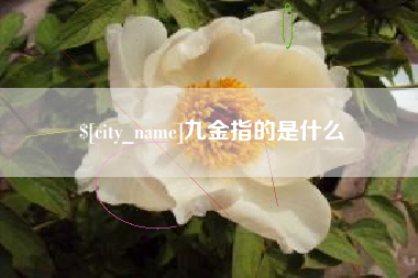 磁县九金指的是什么
