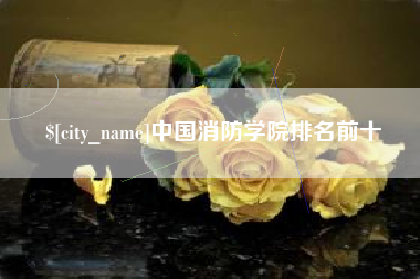 磁县中国消防学院排名前十