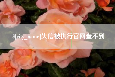 磁县失信被执行官网查不到
