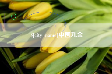 磁县中国九金