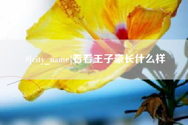磁县看看王子豪长什么样