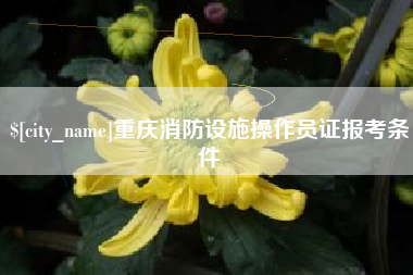 磁县重庆消防设施操作员证报考条件