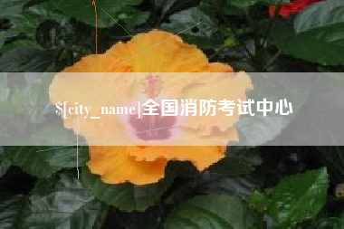 磁县全国消防考试中心