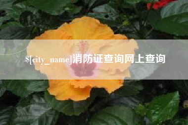 磁县消防证查询网上查询