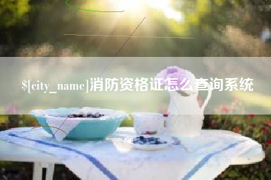 磁县消防资格证怎么查询系统