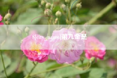 磁县第九金是