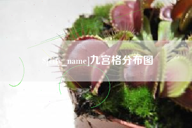 磁县九宫格分布图