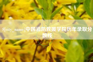 磁县中国消防救援学院历年录取分数线